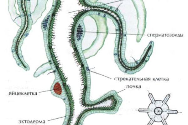 Кракен ссылка маркет пв