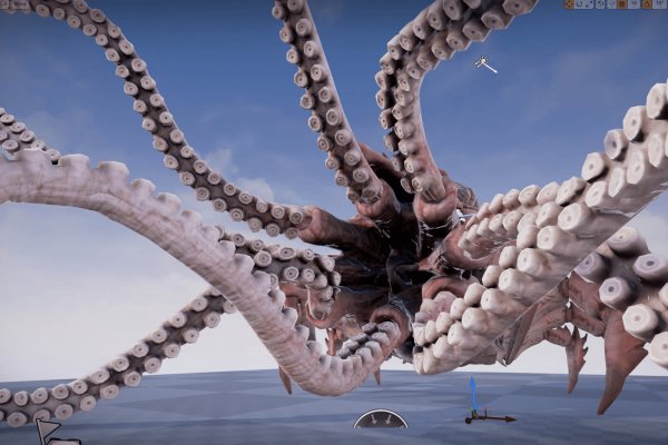 Kraken 19 at