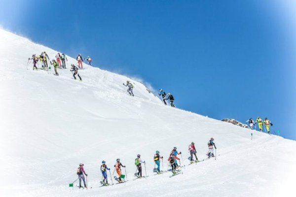 Адрес сайта кракен