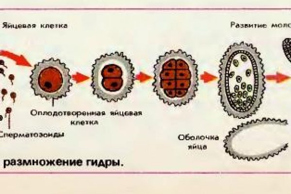 Реальные ссылки кракен