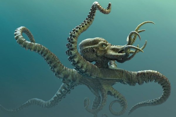 Kraken магазин тор